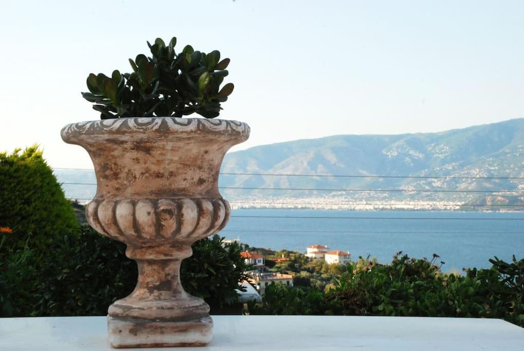 Evelina - Home With View Volos Exteriér fotografie